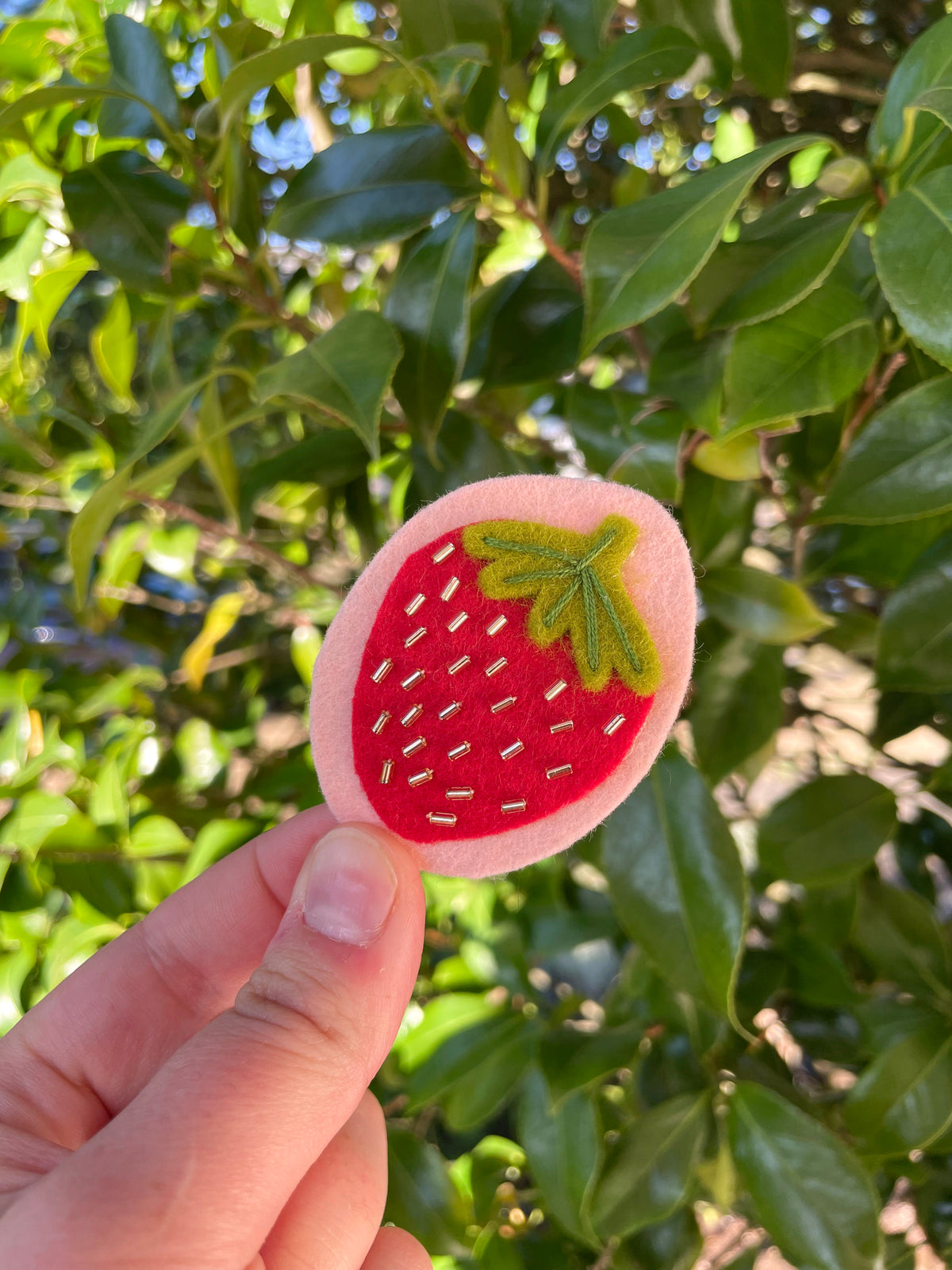 Strawberry Dreams Hair Clip